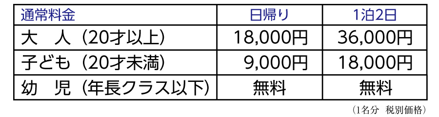 通常料金